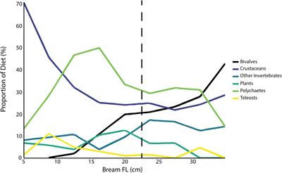 Bioenergetic Model Sensitivity to Diet Diversity Across Space, Time and Ontogeny